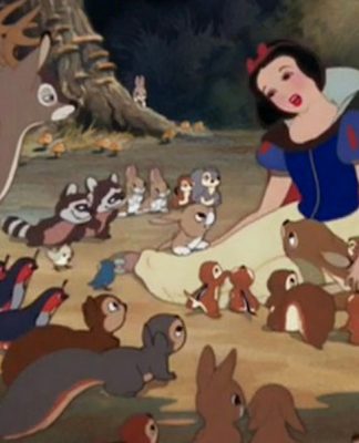 The Very Best Pet Products and Accessories