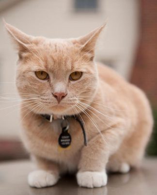 Tips For Stopping Spraying