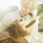 adopt-senior-dog-3-640×427