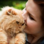 Young woman with Persian cat playing