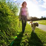 holiday-tips-dogs-640×427