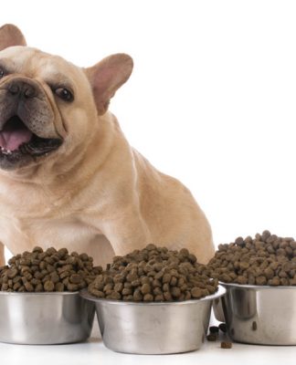 All Natural Dog Food
