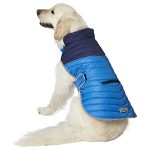 DOG_APPAREL_Pet Rageous(1)