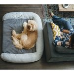 DOG_BEDS_PLAY(1) (1)