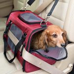 DOG_CARRIERS_Gen7(1)