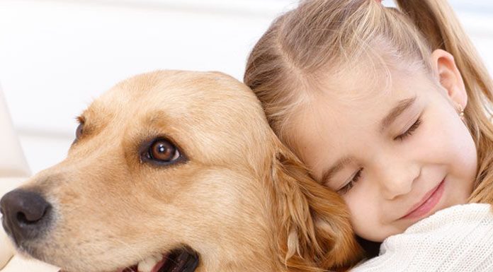 The Pet Retail Market Is Hot And Getting Hotter By The Day