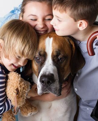 Top 10 Dog Breeds Suitable for Young Kids