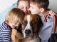 Top 10 Dog Breeds Suitable for Young Kids