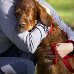 Your Dog Loves You
