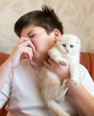 Owners buy pet food with better smell over pungent peers