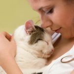 cat2
