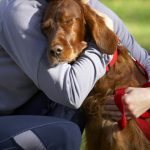 dog6
