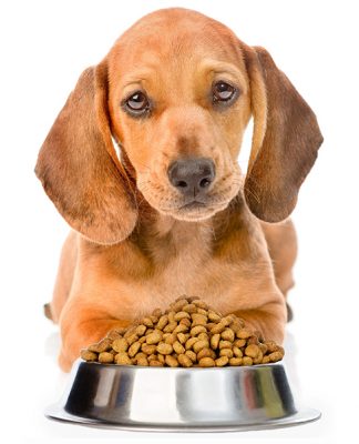 Canadian Natural Dog Food