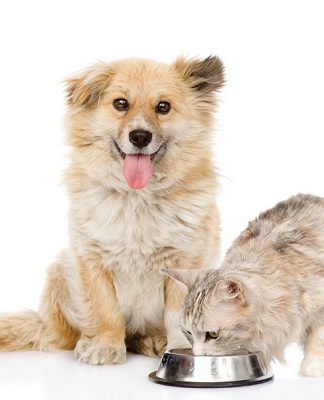 Northwest Natural Raw Meat Dog Food