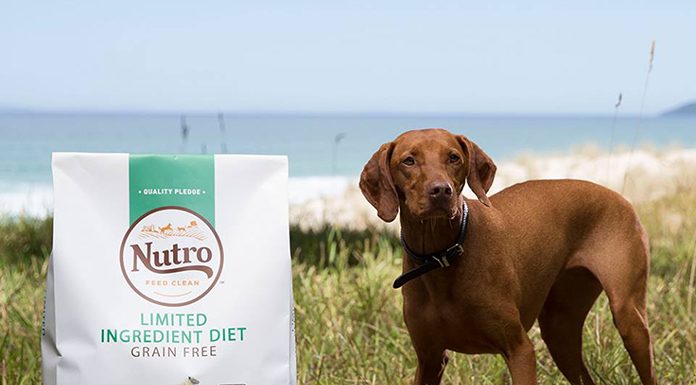 Nutro Natural Choice Dog Food