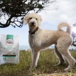 Nutro natural dog foods