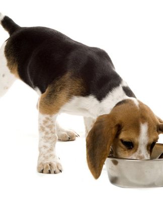 California Natural Dog Food