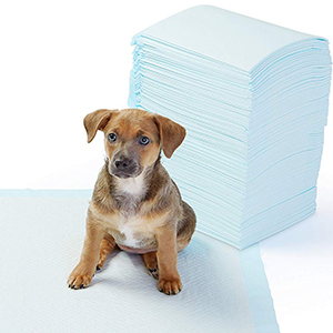 AmazonBasics Pet Training and Puppy Pads, Regular and Heavy Duty