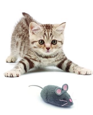 Amazon Pet Products Hot list