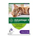 Bayer Advantage II for Large Cats Over 9 lbs