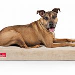 Brindle Waterproof Designer Memory Foam Pet Bed