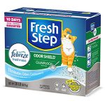Cat Litter