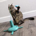 Cat Toy