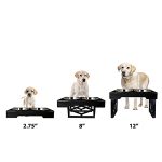 Dog Feeding Station Double Bowl Stand Stainless Steel Bowls