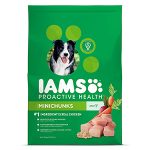IAMS PROACTIVE HEALTH Adult MiniChunks Dry Dog Food