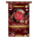 Purina ONE High Protein Natural Dry Dog Food
