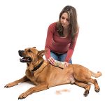 SleekEZ Original Deshedding Grooming Tool