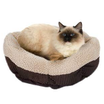 cat bed