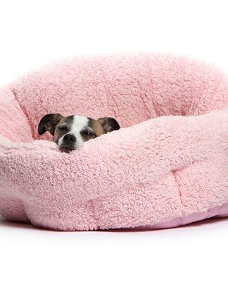 Big Dog Beds and World’s Best Dog Beds