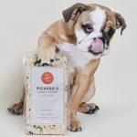 dog food
