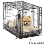 dog ped