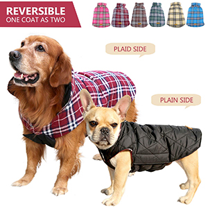 Dog Apparel Cold Weather Dog Jacket-petsorcing