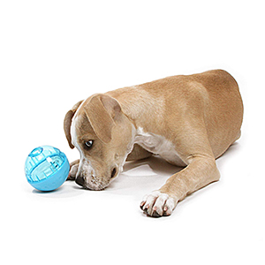 OurPets IQ Treat Ball Interactive Food Dispensing Dog Toy-petsourcing
