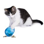 PetSafe FUNKitty Egg Cersizer Interactive Toy and Food Dispenser