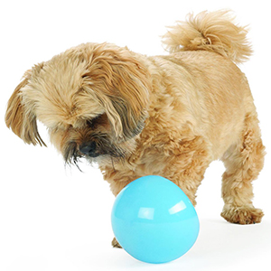 StarMark Bob-A-Lot Interactive Dog Toy-petsourcing