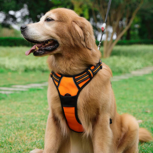 Rabbitgoo Dog Harness No-Pull Pet Harness Adjustable Outdoor-petsourcing