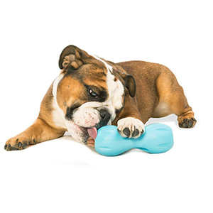 Treat Chew Toy for Dogs-petsourcing