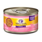 Wellness Complete Health Natural Grain Free Wet Canned Cat Food