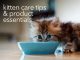 caring for your kitten product essential & pet care tips