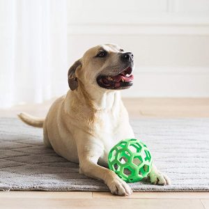 Dog Ball-petsourcing