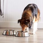 Dog Bowl-petsourcing