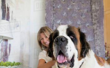 How to Feed Your Large Breed Dog-petsourcing