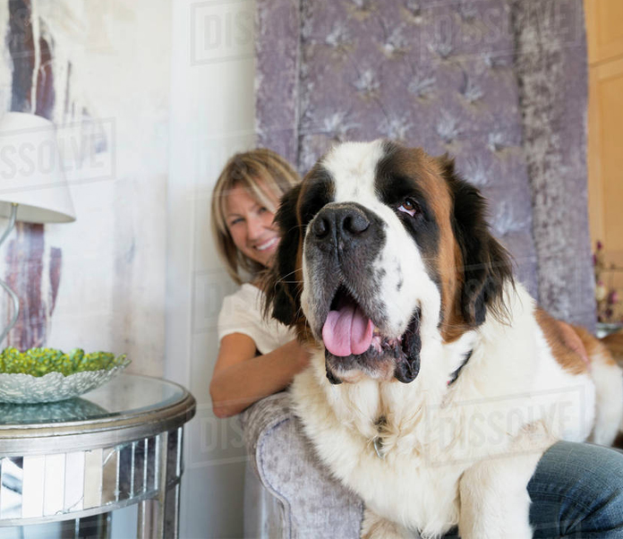 How to Feed Your Large Breed Dog-petsourcing