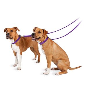 PetSafe Nylon Dog Leash-petsourcing