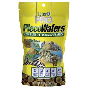 Feeding Fish, fish food,fish food formula, How Fish Eat,  Feeding fish Notes，fish care