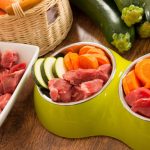 Should I Feed My Dog or Cat a Raw Diet-petsourcing